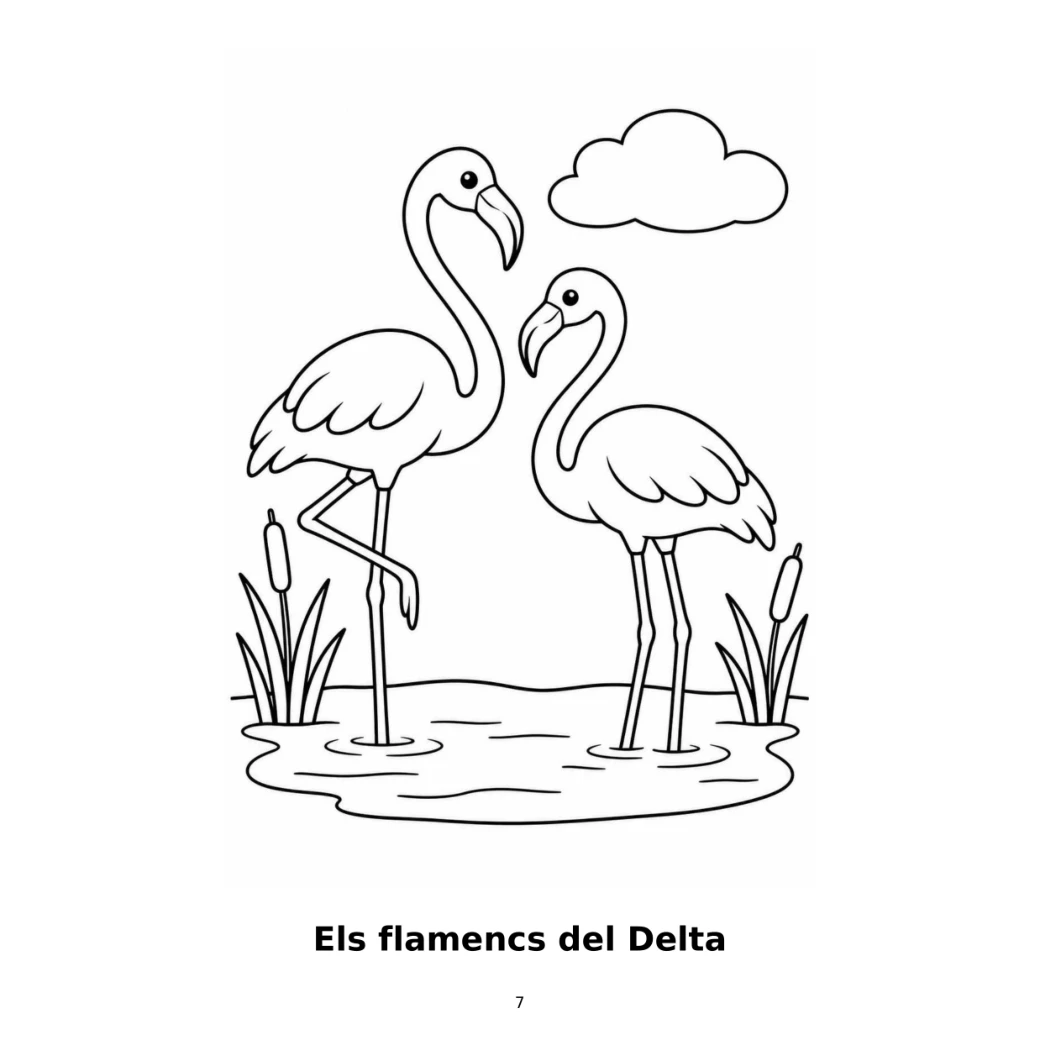 Els flamencs del Delta, 3–6 anys