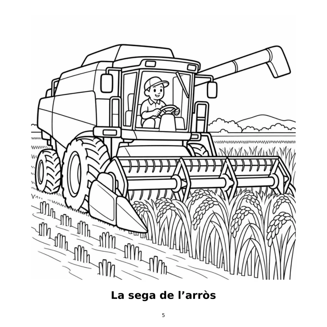 La sega de l’arròs, edició de 3–6 anys