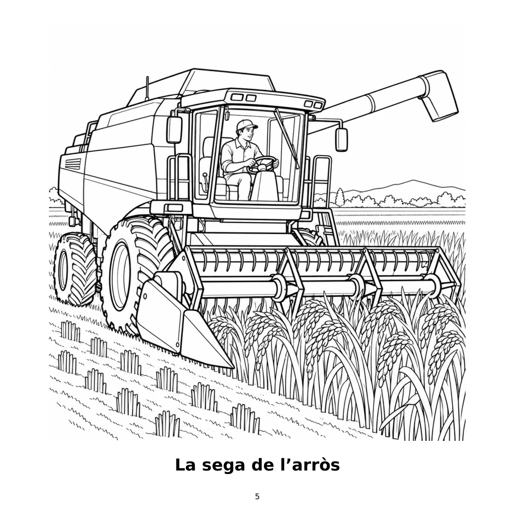La sega de l’arròs, edició de 7–10 anys